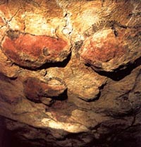 Franco-Cantabrian civilization. Cave paintigs from the cave of Altamira. Santillana del Mar (Cantabria, Spain)