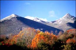Autumn in the Aralar Range (Navarre)